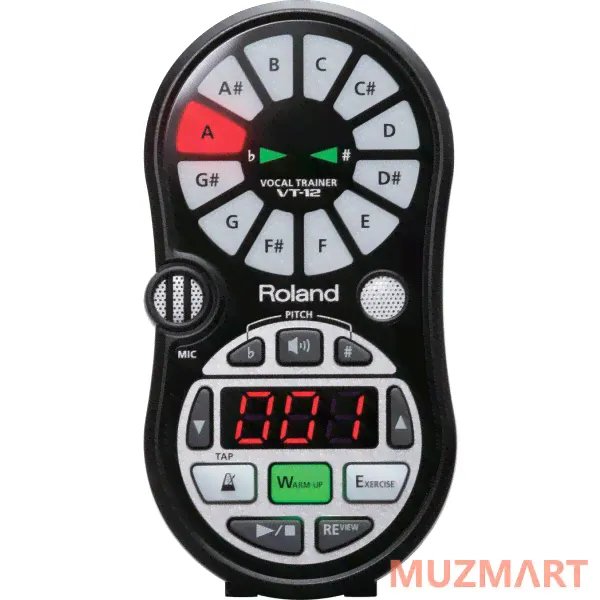 Roland VT-12 Вокальный тренажер-0