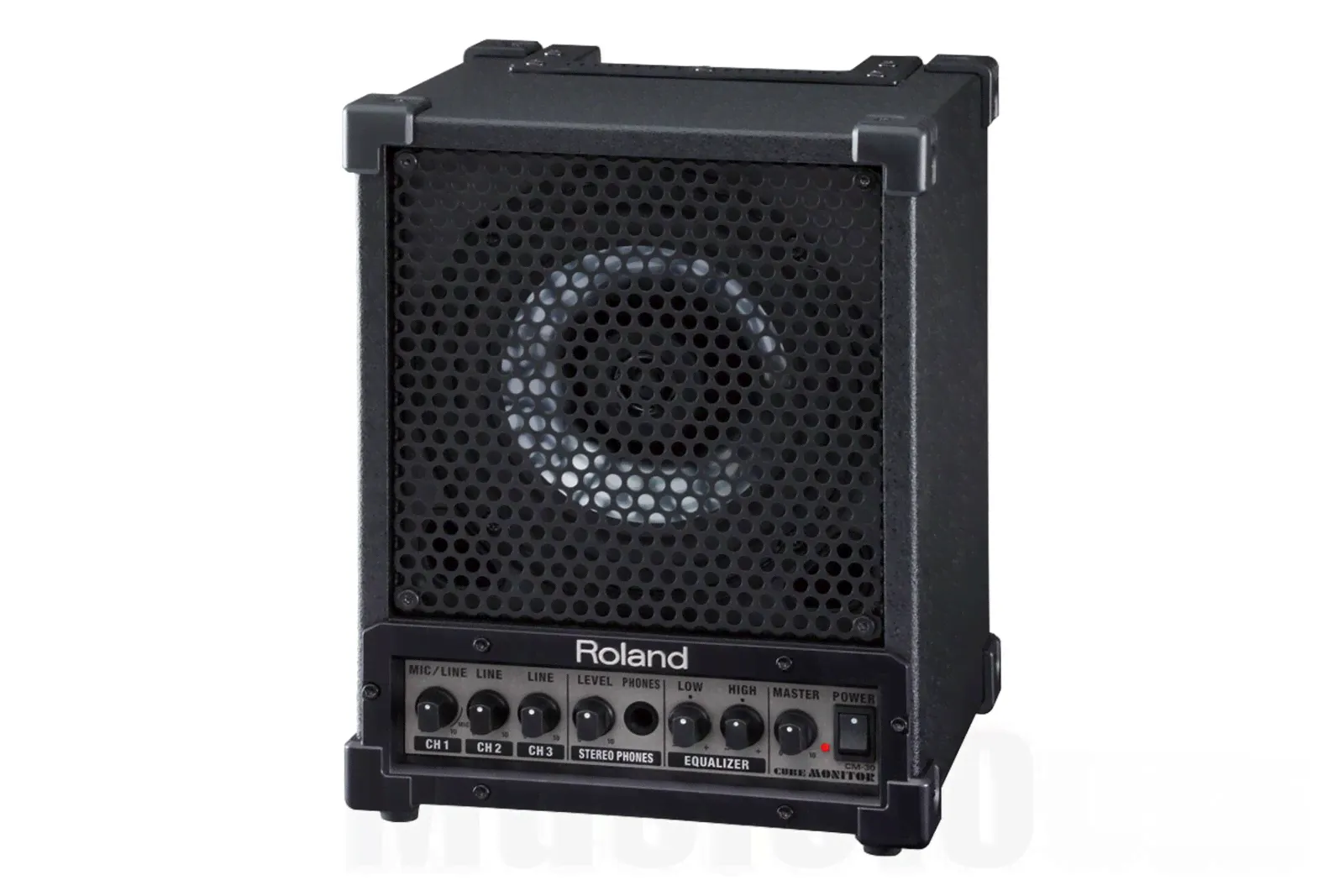 Roland CM-30 - 30W Studio & Stage Monitor-1