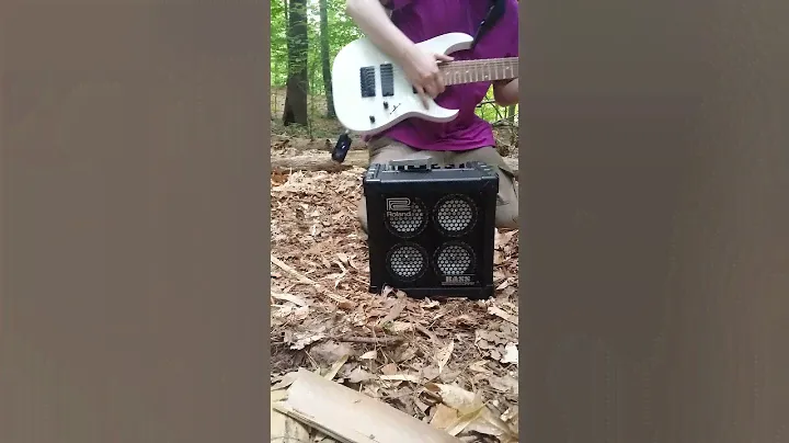 Roland Micro Cube Bass Amp Outdoor Performance Test