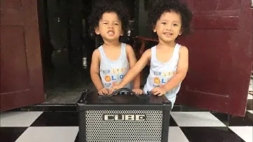 Mulus Mantab | Roland Cube 80GX speaker 1x12