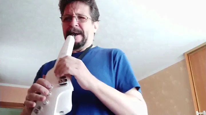 "Five Brothers" on Roland Aerophone 10