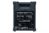 Roland CM-30 - 30W Studio & Stage Monitor