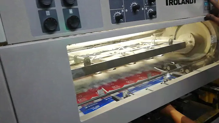 Roland 300
