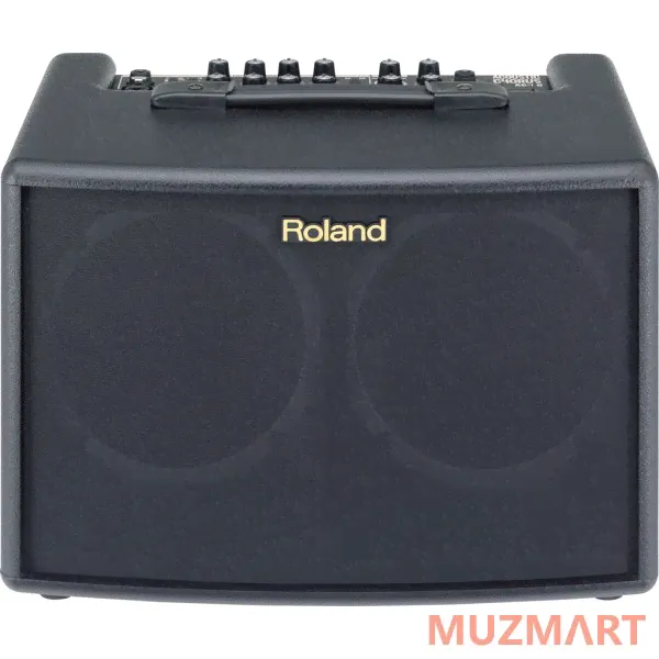 Roland AC-60 Комбоусилитель для акустической гитары-0