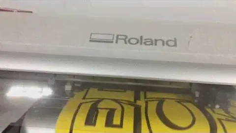 roland sp300 print and cut