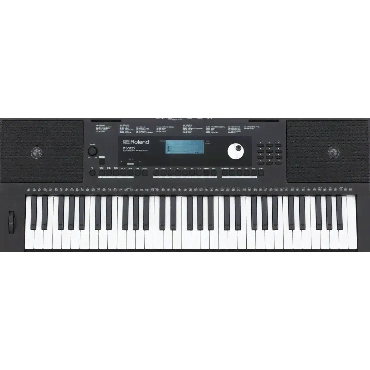 Roland Roland E-X20-4
