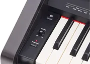 Roland RP30