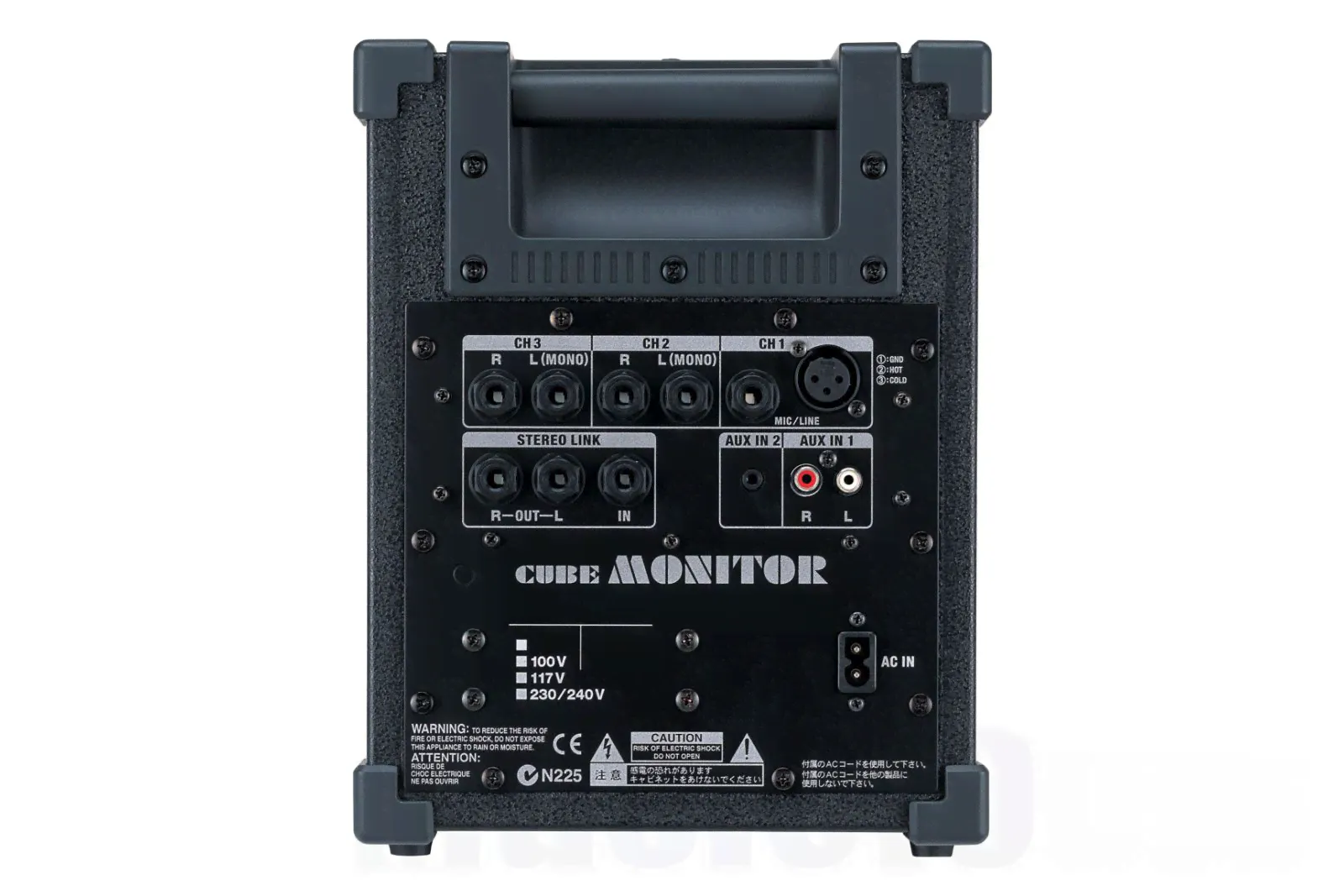 Roland CM-30 - 30W Studio & Stage Monitor-2