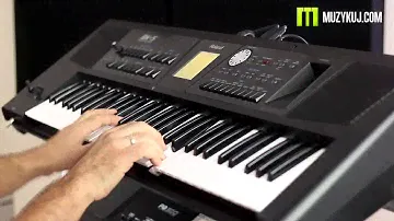 Korg Pa300 VS Roland BK 5