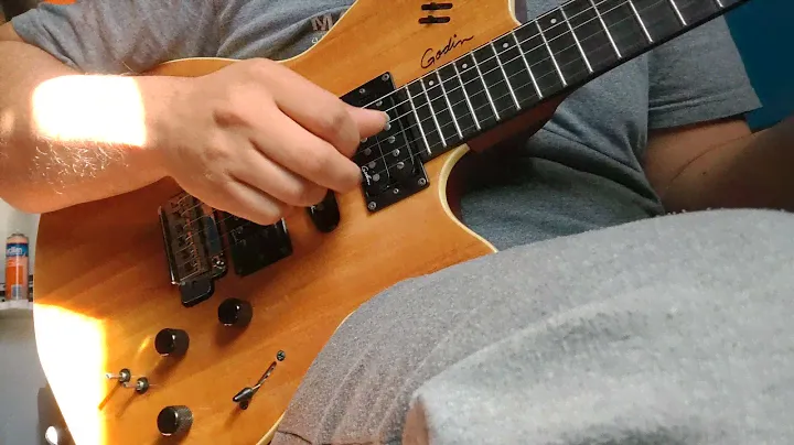 Godin Xtsa Roland Gr 55