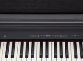 Roland RP30