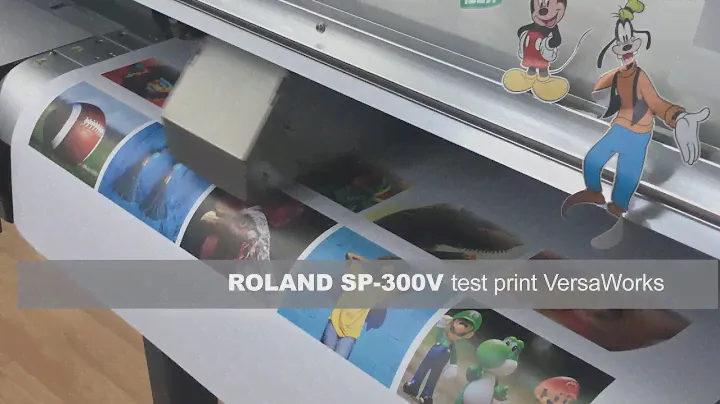 Roland SP-300V test print